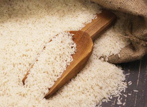 خرید و فروش برنج کشت دوم شمال با شرایط فوق العاده